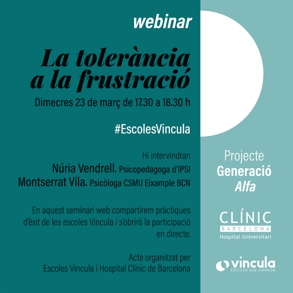 Webinar Tolerància a la frustació Escoles Vincula